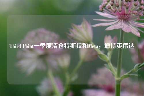 Third Point一季度清仓特斯拉和Meta	，增持英伟达  第1张