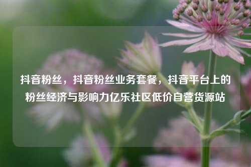 抖音粉丝	，抖音粉丝业务套餐，抖音平台上的粉丝经济与影响力亿乐社区低价自营货源站  第1张