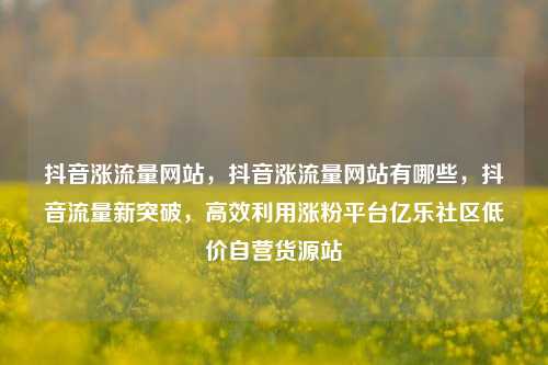 抖音涨流量网站，抖音涨流量网站有哪些，抖音流量新突破	，高效利用涨粉平台亿乐社区低价自营货源站  第1张