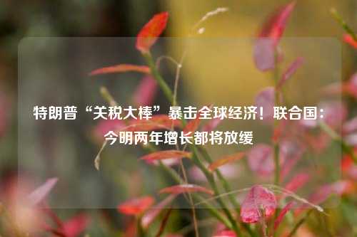 特朗普“关税大棒”暴击全球经济！联合国：今明两年增长都将放缓  第1张