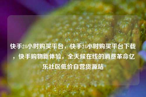 快手24小时购买平台，快手24小时购买平台下载，快手购物新体验	，全天候在线的消费革命亿乐社区低价自营货源站  第1张
