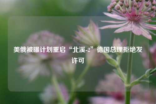 美俄被曝计划重启“北溪-2”德国总理拒绝发许可  第1张