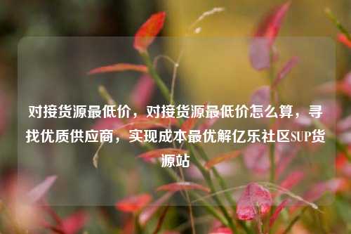 对接货源最低价，对接货源最低价怎么算，寻找优质供应商	，实现成本最优解亿乐社区SUP货源站  第1张