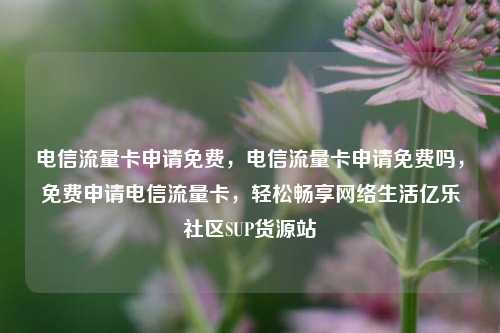 电信流量卡申请免费	，电信流量卡申请免费吗，免费申请电信流量卡，轻松畅享网络生活亿乐社区SUP货源站  第1张