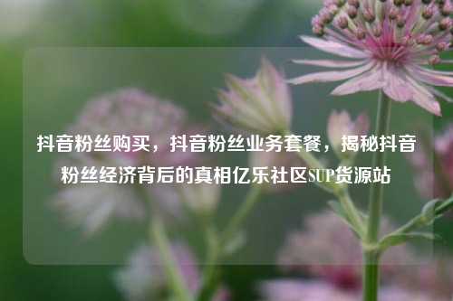 抖音粉丝购买，抖音粉丝业务套餐，揭秘抖音粉丝经济背后的真相亿乐社区SUP货源站  第1张