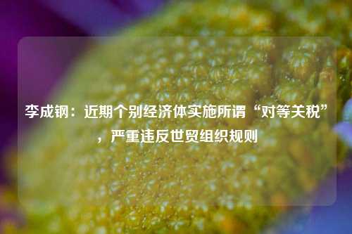 李成钢：近期个别经济体实施所谓“对等关税”，严重违反世贸组织规则  第1张