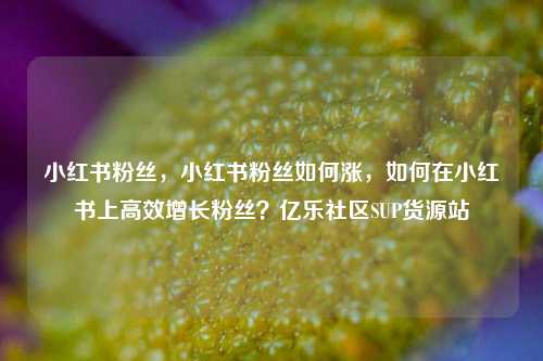 小红书粉丝，小红书粉丝如何涨，如何在小红书上高效增长粉丝？亿乐社区SUP货源站  第1张