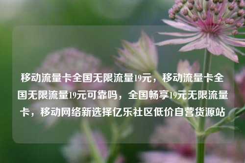 移动流量卡全国无限流量19元，移动流量卡全国无限流量19元可靠吗，全国畅享19元无限流量卡，移动网络新选择亿乐社区低价自营货源站  第1张