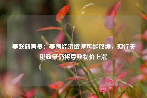 美联储官员：美国经济增速可能放缓	，现行关税政策仍将导致物价上涨  第1张