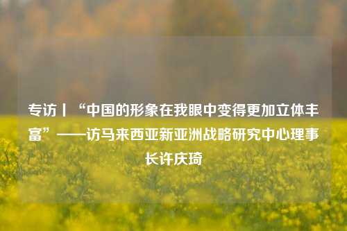 专访丨“中国的形象在我眼中变得更加立体丰富”——访马来西亚新亚洲战略研究中心理事长许庆琦  第1张