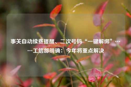 事关自动续费提醒、二次号码“一键解绑	”……工信部明确：今年将重点解决  第1张