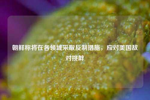 朝鲜称将在各领域采取反制措施，应对美国敌对挑衅  第1张