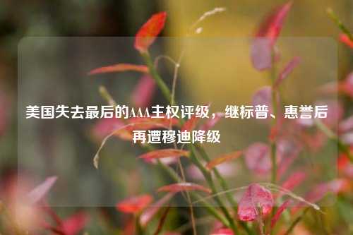 美国失去最后的AAA主权评级，继标普、惠誉后再遭穆迪降级  第1张