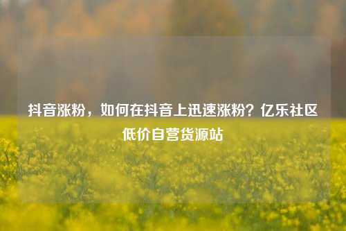 抖音涨粉，如何在抖音上迅速涨粉？亿乐社区低价自营货源站  第1张