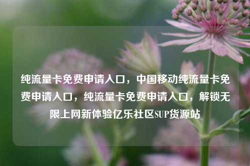 纯流量卡免费申请入口，中国移动纯流量卡免费申请入口，纯流量卡免费申请入口，解锁无限上网新体验亿乐社区SUP货源站  第1张