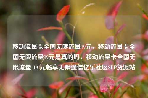 移动流量卡全国无限流量19元	，移动流量卡全国无限流量19元是真的吗，移动流量卡全国无限流量 19 元畅享无限通信亿乐社区SUP货源站  第1张