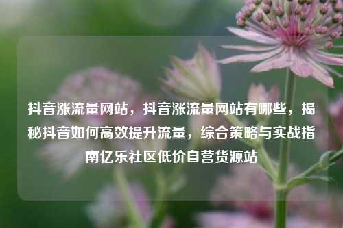 抖音涨流量网站，抖音涨流量网站有哪些	，揭秘抖音如何高效提升流量，综合策略与实战指南亿乐社区低价自营货源站  第1张