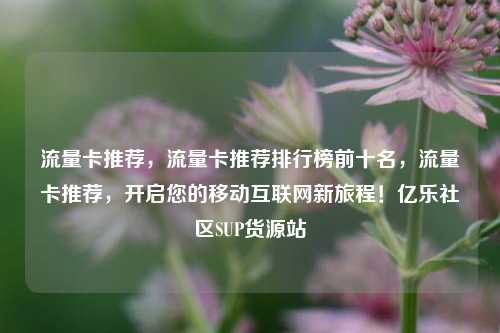 流量卡推荐，流量卡推荐排行榜前十名，流量卡推荐，开启您的移动互联网新旅程！亿乐社区SUP货源站  第1张
