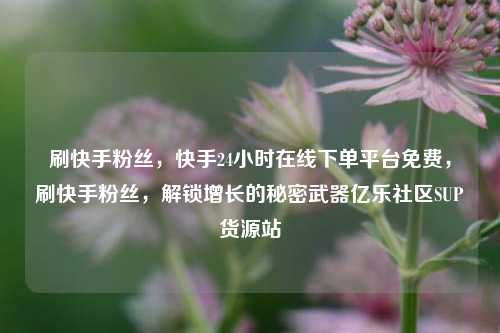 刷快手粉丝，快手24小时在线下单平台免费，刷快手粉丝，解锁增长的秘密武器亿乐社区SUP货源站  第1张