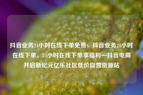抖音业务24小时在线下单免费，抖音业务24小时在线下单，24小时在线下单享福利—抖音电商开启新纪元亿乐社区低价自营货源站  第1张