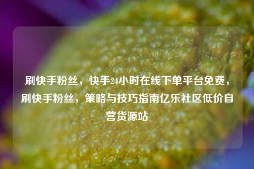 刷快手粉丝，快手24小时在线下单平台免费，刷快手粉丝	，策略与技巧指南亿乐社区低价自营货源站  第1张