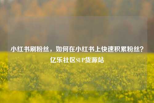 小红书刷粉丝，如何在小红书上快速积累粉丝？亿乐社区SUP货源站  第1张