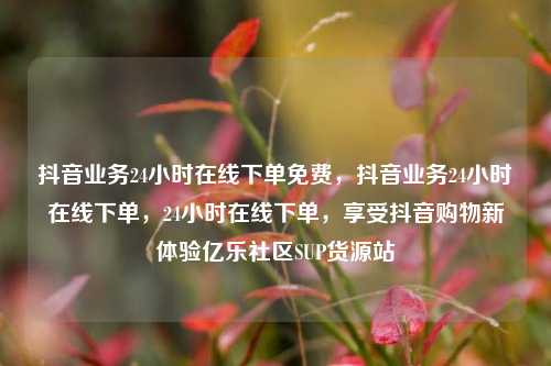 抖音业务24小时在线下单免费，抖音业务24小时在线下单	，24小时在线下单，享受抖音购物新体验亿乐社区SUP货源站  第1张