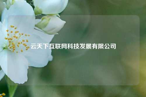 云天下互联网科技发展有限公司  第1张