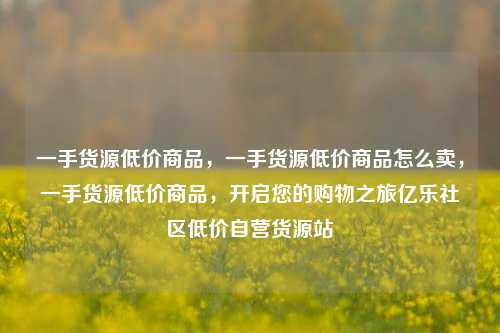一手货源低价商品，一手货源低价商品怎么卖，一手货源低价商品，开启您的购物之旅亿乐社区低价自营货源站  第1张