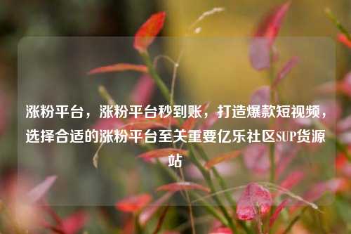 涨粉平台，涨粉平台秒到账	，打造爆款短视频，选择合适的涨粉平台至关重要亿乐社区SUP货源站  第1张