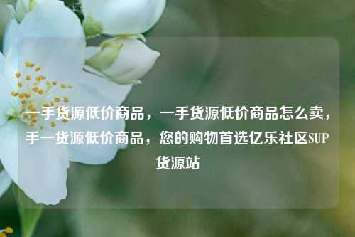 一手货源低价商品，一手货源低价商品怎么卖，手一货源低价商品，您的购物首选亿乐社区SUP货源站  第1张