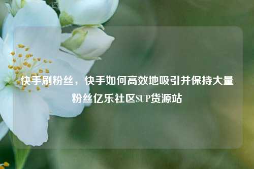 快手刷粉丝，快手如何高效地吸引并保持大量粉丝亿乐社区SUP货源站  第1张