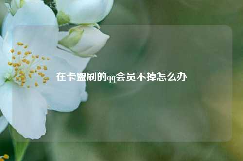 在卡盟刷的qq会员不掉怎么办  第1张