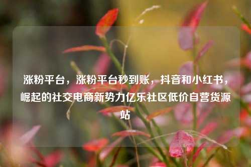 涨粉平台，涨粉平台秒到账，抖音和小红书	，崛起的社交电商新势力亿乐社区低价自营货源站  第1张