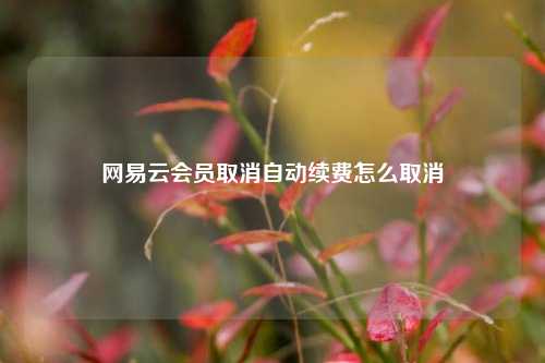 网易云会员取消自动续费怎么取消  第1张