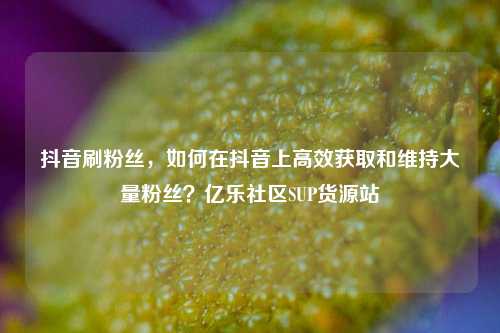 抖音刷粉丝，如何在抖音上高效获取和维持大量粉丝？亿乐社区SUP货源站  第1张