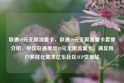 联通19元无限流量卡	，联通19元无限流量卡套餐介绍，中国联通推出19元无限流量卡，满足用户多样化需求亿乐社区SUP货源站  第1张