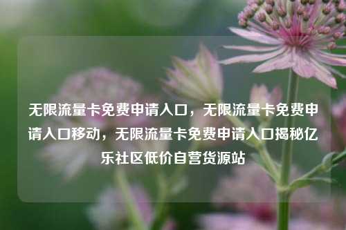 无限流量卡免费申请入口	，无限流量卡免费申请入口移动，无限流量卡免费申请入口揭秘亿乐社区低价自营货源站  第1张