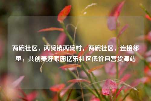 两碗社区，两碗镇两碗村，两碗社区，连接邻里，共创美好家园亿乐社区低价自营货源站  第1张