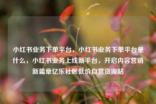 小红书业务下单平台，小红书业务下单平台是什么，小红书业务上线新平台，开启内容营销新篇章亿乐社区低价自营货源站  第1张