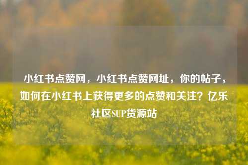 小红书点赞网，小红书点赞网址，你的帖子	，如何在小红书上获得更多的点赞和关注？亿乐社区SUP货源站  第1张