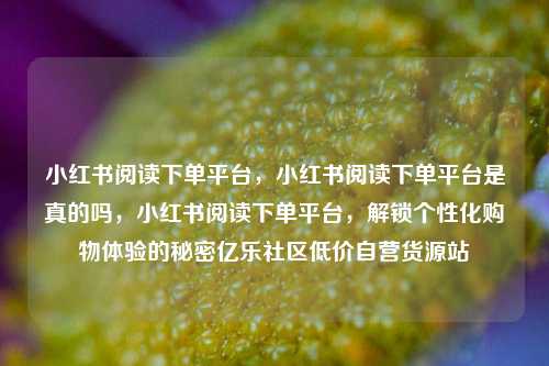 小红书阅读下单平台，小红书阅读下单平台是真的吗，小红书阅读下单平台，解锁个性化购物体验的秘密亿乐社区低价自营货源站  第1张