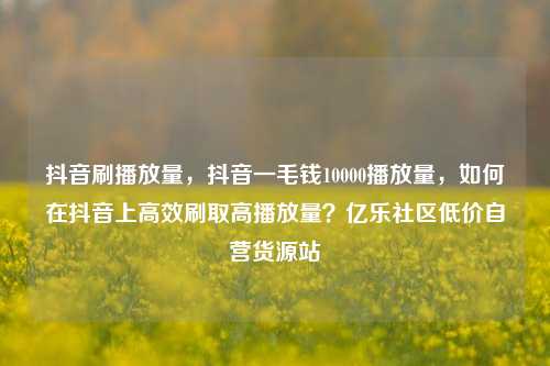 抖音刷播放量	，抖音一毛钱10000播放量，如何在抖音上高效刷取高播放量？亿乐社区低价自营货源站  第1张