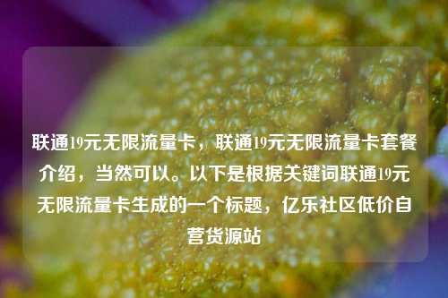 联通19元无限流量卡，联通19元无限流量卡套餐介绍，当然可以。以下是根据关键词联通19元无限流量卡生成的一个标题，亿乐社区低价自营货源站  第1张