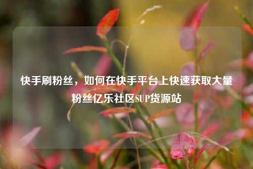 快手刷粉丝，如何在快手平台上快速获取大量粉丝亿乐社区SUP货源站  第1张