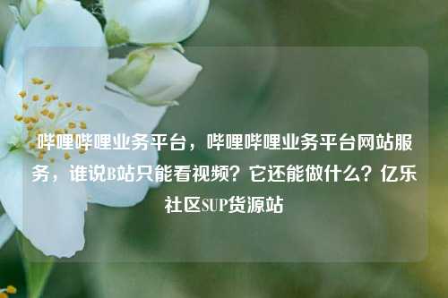 哔哩哔哩业务平台，哔哩哔哩业务平台网站服务，谁说B站只能看视频？它还能做什么？亿乐社区SUP货源站  第1张