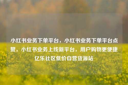 小红书业务下单平台，小红书业务下单平台点赞	，小红书业务上线新平台，用户购物更便捷亿乐社区低价自营货源站  第1张