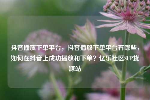 抖音播放下单平台	，抖音播放下单平台有哪些，如何在抖音上成功播放和下单？亿乐社区SUP货源站  第1张