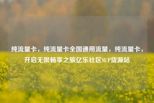 纯流量卡，纯流量卡全国通用流量	，纯流量卡，开启无限畅享之旅亿乐社区SUP货源站  第1张
