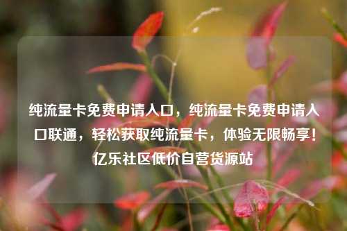 纯流量卡免费申请入口，纯流量卡免费申请入口联通	，轻松获取纯流量卡，体验无限畅享！亿乐社区低价自营货源站  第1张